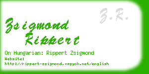 zsigmond rippert business card